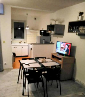 Appartement cosy à Amélie-les-Bains 35 m² vue montagne